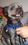 Bailey