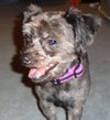 Bailey