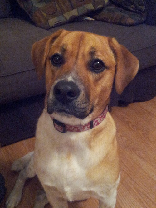 DeeDee