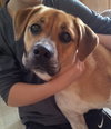 DeeDee