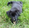 Cinder