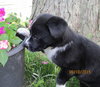 Wilma