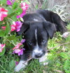 Wilma