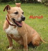 Mariah