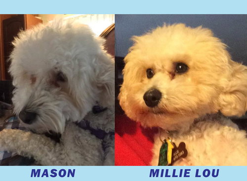 Mason and Millie Lou