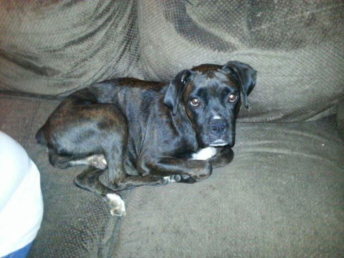 Roxanne