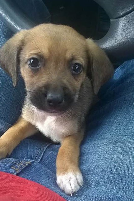 Monty