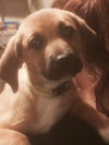 Monty