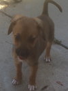Monty
