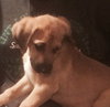 Monty