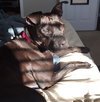 Onyx