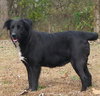 Shadow Edie