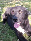 Shadow Edie