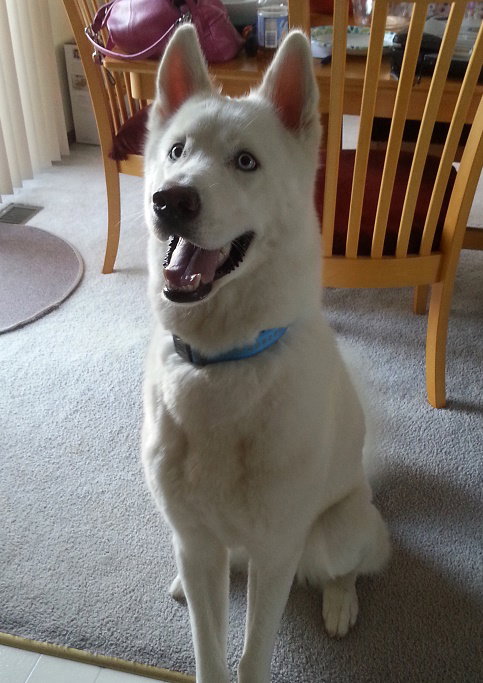 Casper
