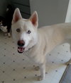 Casper