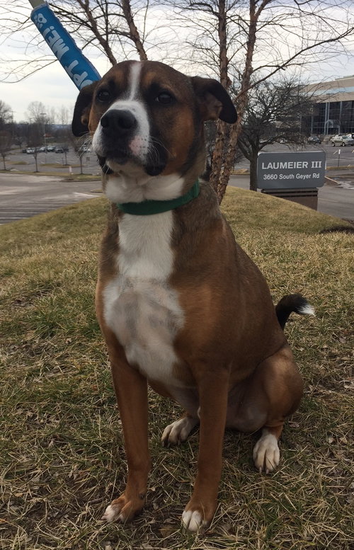 Buster Boy