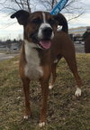 Buster Boy