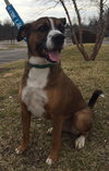 Buster Boy