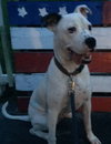 Pumice