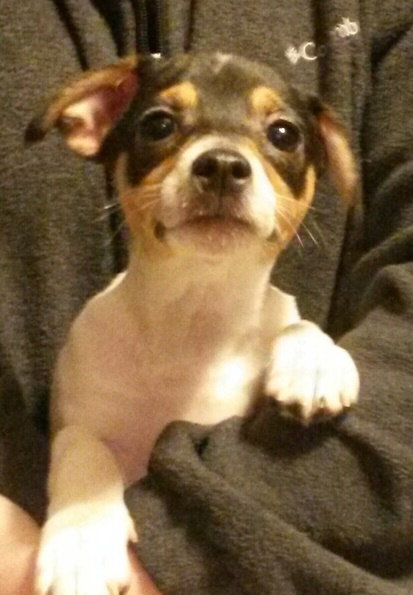 Alvin