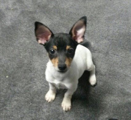 Theodore