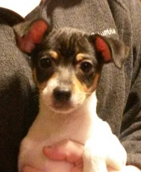 Simon