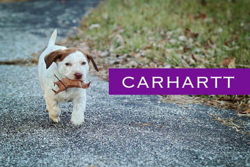 Carhartt