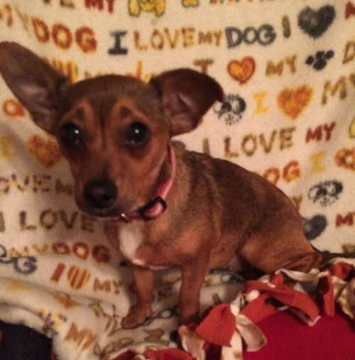 Rosita