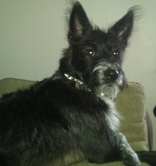 Roxy
