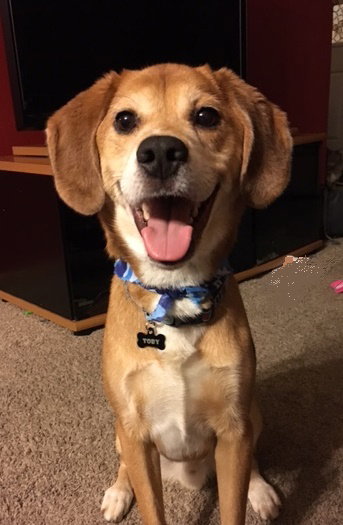 Toby