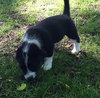 Jethro