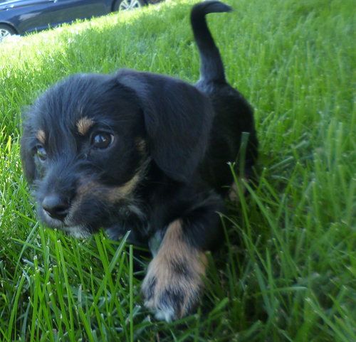 Leroy
