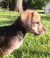 Shirley