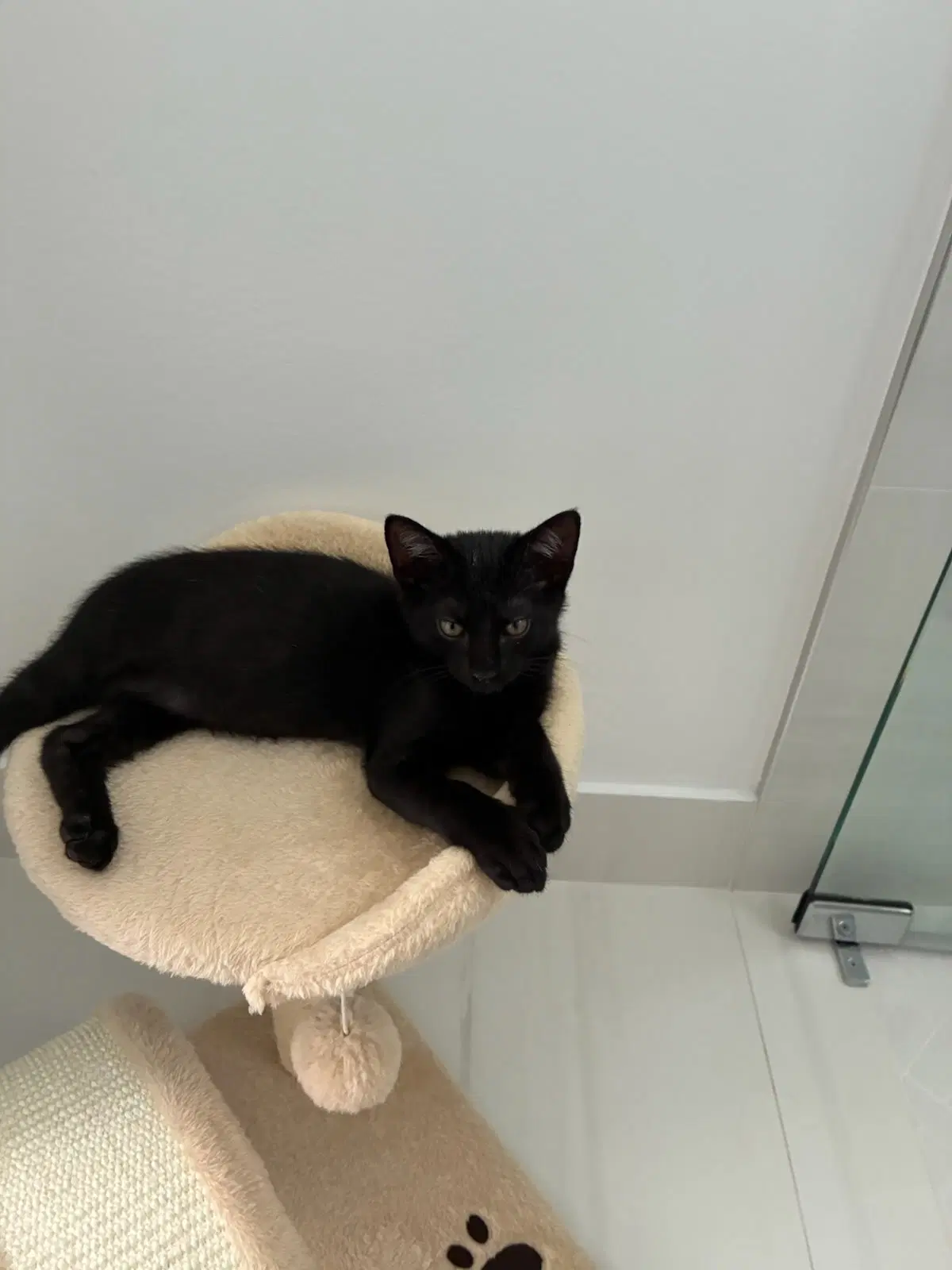 Lenny image 4