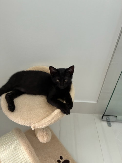 Photo 4 of Lenny