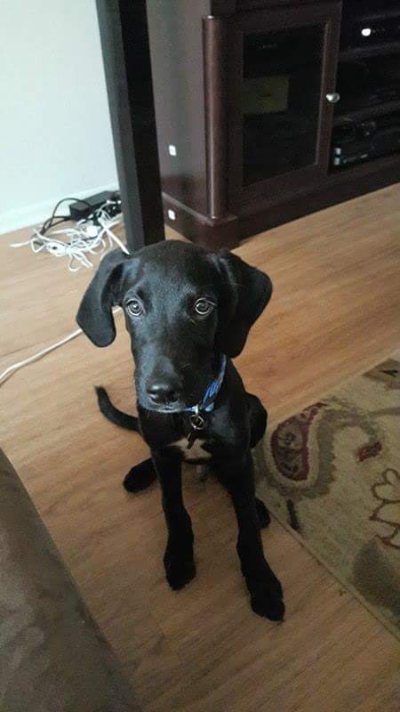 Onyx