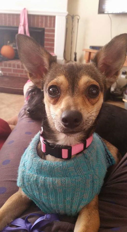 Pebbles