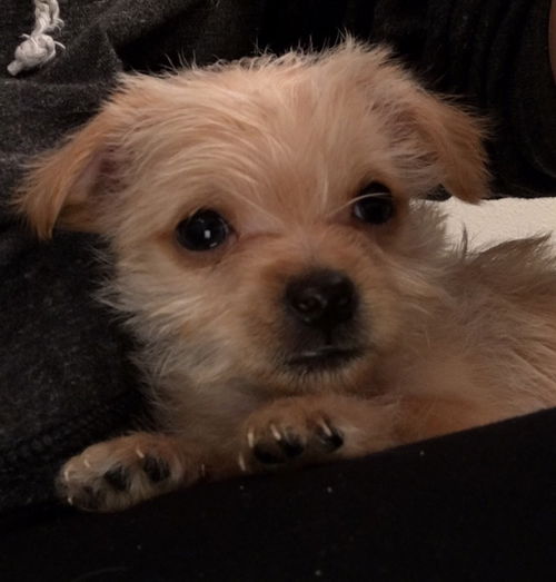 Benny