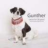 Gunther