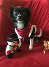Darla
