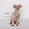 Bobby