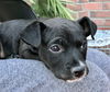Tyson
