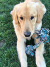 Murphy