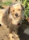 Joey AKA JoyBoy
