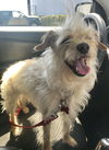 Joey AKA JoyBoy