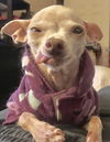 Mindy