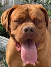 Lucy