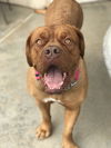 Lucy