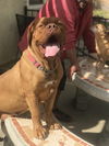 Lucy
