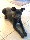 Lulu